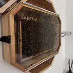 شقة L'abeille Sous Les Etoiles Saint-Michel-lʼObservatoire